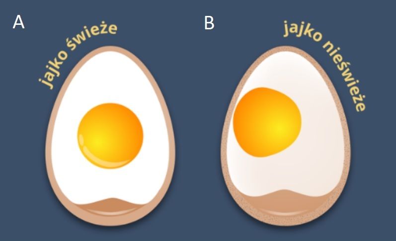Ocena świeżości jaj – jajo po ugotowaniu na twardo