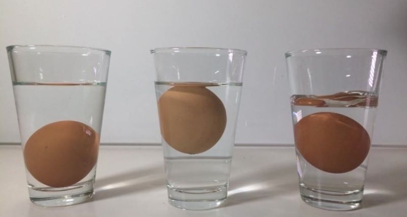 Ocena świeżości jaj – próba wodna