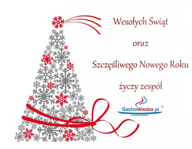 Wesołych Świąt oraz Szczęśliwego Nowego Roku życzy redakcja GastroWiedza.pl