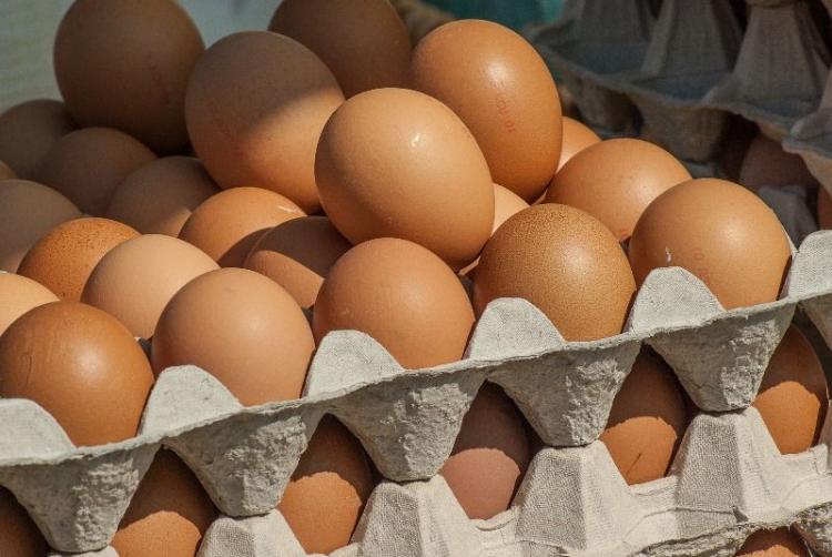Grupa Eurocash wycofuje jajka z chowu klatkowego