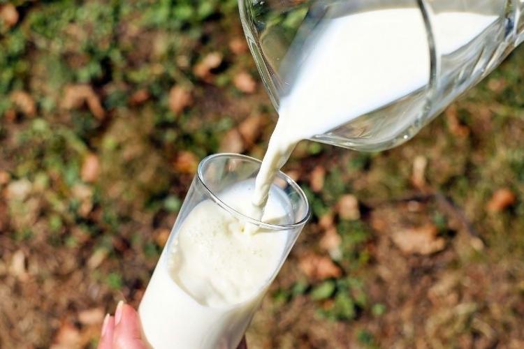 Zamienniki mleka dla osób z nietolerancją laktozy