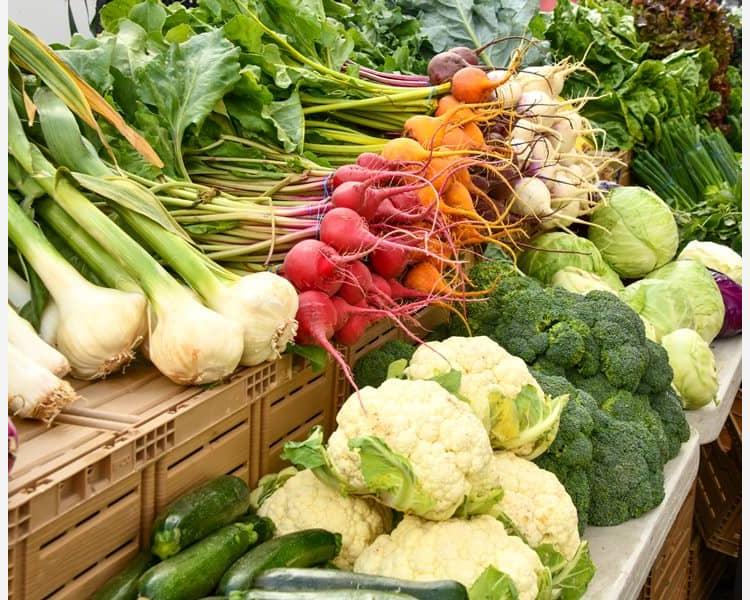 Eko warzywa i owoce dla gastronomii