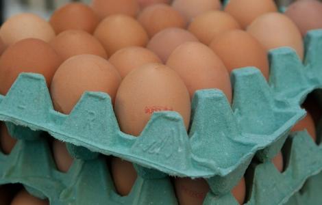 Przechowywanie i sposoby konserwowania jaj w gastronomii